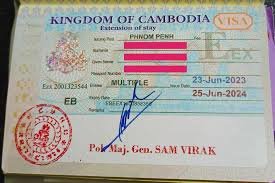 Cambodia Visa for Venezuelan